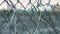 Wire mesh fence with dry plant stems moving on wind on background fenced area