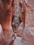 Wire Pass Slot Canyon