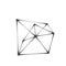 Wire polygon network on white background