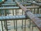 Wire ties with steel for building structures.