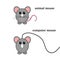 A wired mouse and mini mouse