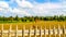 Wired picket fence around a freshly plowed farmers field