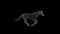 Wireframe 3d horse jumping, seamless loop, against black