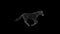 Wireframe 3d horse jumping, seamless loop, Alpha PNG