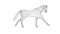 Wireframe 3d horse running, seamless loop, against white