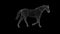 Wireframe 3d horse walk, seamless loop, Luma Matte attached