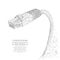 Wireframe gray internet cable