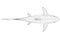 Wireframe low poly blue shark. 3D. View from above. Vector illustration