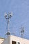 Wireless telephone antennas