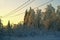 wires of transmission lines over a glade in a winter snow-covered forest