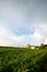 WISCONSIN DAIRY FARM, BARN BY FIELD OF CORN