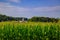 Wisconsin Farm and tall heartland cornfields