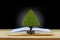 Wisdom, education and knowledge concept, tree growing up on book