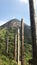 Wisdom path, Ngong Ping, Hong Kong