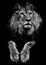 Wise black and white lion