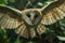 Wise and mysterious owl, exploring the beauty and symbolism of these nocturnal creatures, a glimpse into the