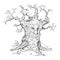 Wise Old Fantasy Tree from Magic Forest, Vector Cartoon Stick Figure Illustration