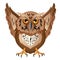 Wise owl with the big head, a sharp beak and predatory claws.