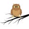 A wise owl bird sits on a tree branch. White background. Design element