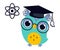 Wise Owl in Graduation Cap, Cute Bird Teacher Cartoon Character Teaching Physics at School Vector Illustration