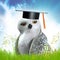 Wise owl on graduation hat