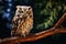 Wise Owl sitting on tree\\\'s branch generative AI