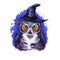 Wise owl in wizard hat, wisdom bird on backdrop of blue night sky, symbol of autumn holiday. Flying animal in wizard headwear.