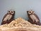 Wise owls message board gray background vintage owl decor