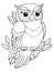 Wise and Wonderful: Detailed Owl Illustration for Coloring Book