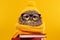 Wise in Yellow: Scholar Owl