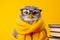 Wise in Yellow: Scholar Owl