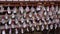 Wishes written in shells at a Buddhist temple