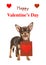 Wishing card happy valentine`s day with Chihuahua dog holding ba