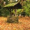 Wishing well in countryside