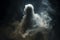 Wisp of smoke forming a ghostly figure