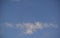 Wispy horse feather cloud shelf in blue sky