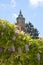 Wisteria flowers and tower of Charterhouse of Valldemosa