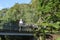 Wisteria on footbridge, Dunedin Botanic Garden NZ