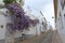 Wisteria lane