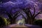 Wisteria tree tunnel at National Park