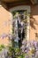 wisteria window door quaint climb creeper nature relationship feeling panorama