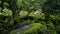 Wistman`s Wood National Nature Reserve - mystic high-altitude oakwood on valley of the West Dart River, Dartmoor, Devon, UK