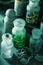 Witch apothecary jars magic potions halloween decoration