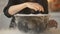 Witch conjuring, putting magic spell and cooking potion in pot with white smoke