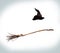 Witch flying broom