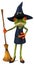 Witch frog - 3D Illustration