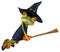 Witch frog - 3D Illustration