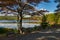 Witch Hole Pond, Acadia National Park, Maine