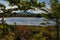 Witch Hole Pond; Acadia National Park, Maine