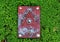 Witch magic book with red cover on green clover field